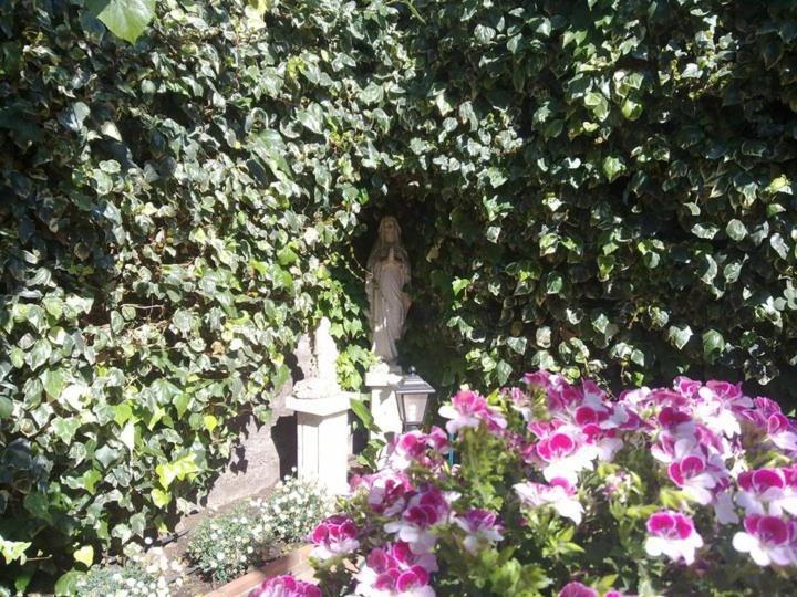 Etna House Bed & Breakfast *
